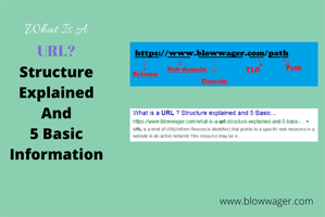 What is a URL ? Structure explained and 5 Basic Information - Blowwager